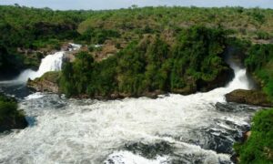 Murchison-Falls (1)