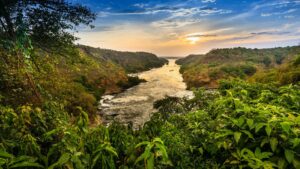 Nile-river-Murchison-falls-national-park-uganda