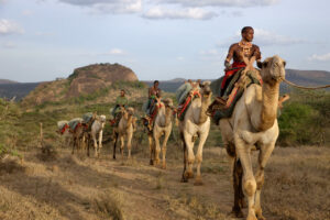 maralal camel derby